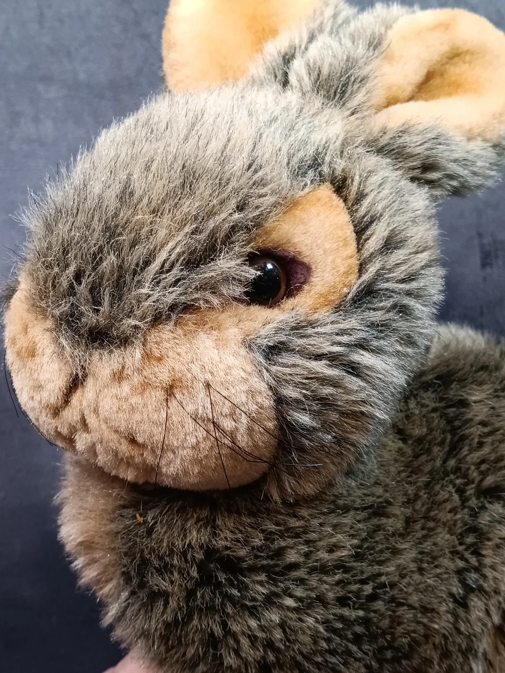 Plush Brown & Soft Cuddly Companion By DanDee